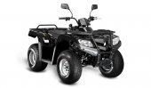 2013 Loncin LX200ATV-M Storm photo